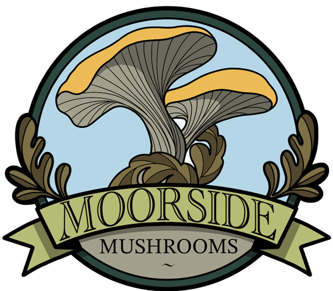 Moorside Mushrooms