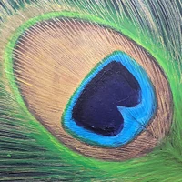 Sally Ellen Barlow Art