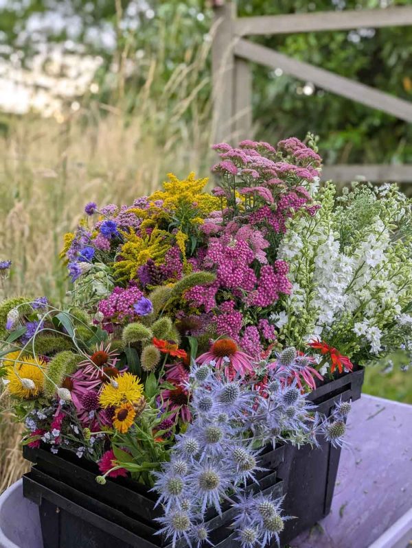 shvm-woodclose_flowers